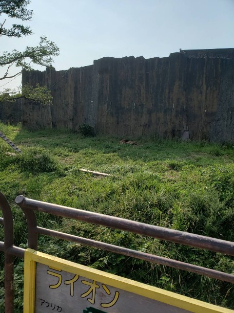 f:id:boc22boc:20191004224433j:image