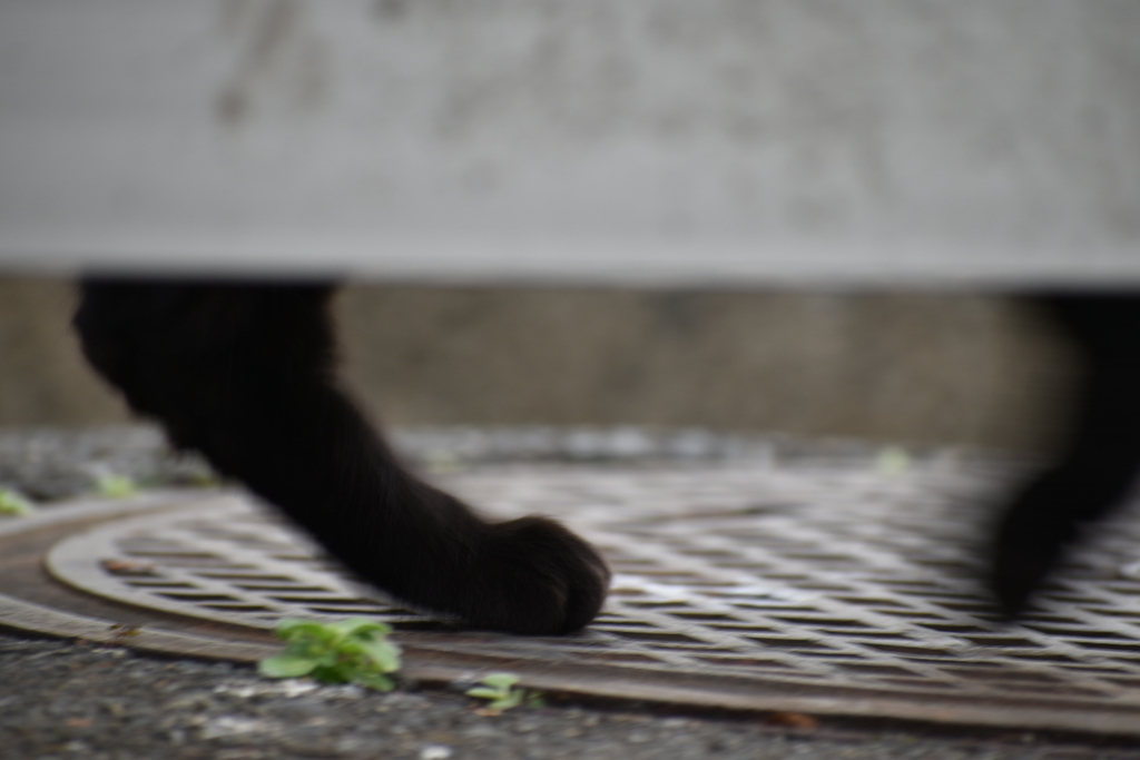 f:id:boc3096:20190107012545j:plain