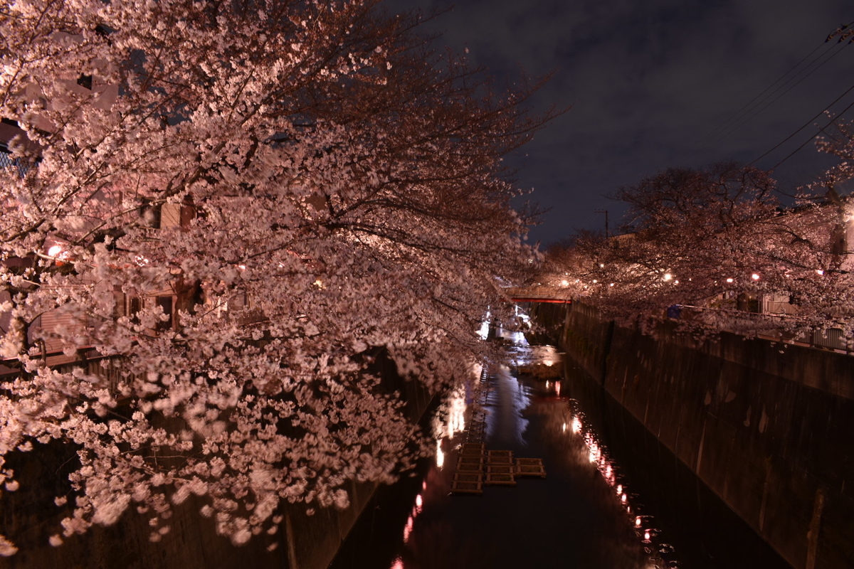 f:id:boc3096:20190406215529j:plain
