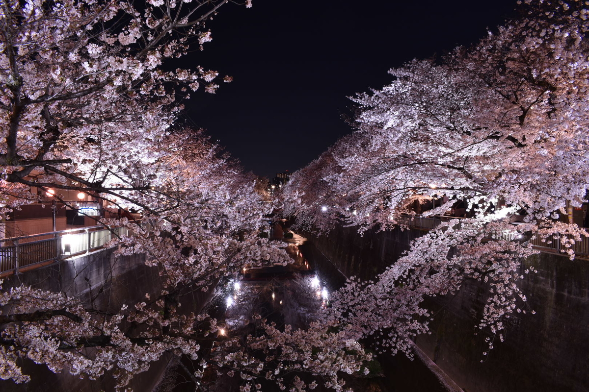 f:id:boc3096:20190407150657j:plain