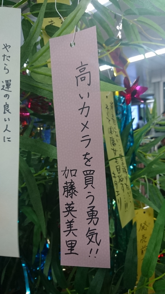 f:id:boc3096:20190706224928j:plain