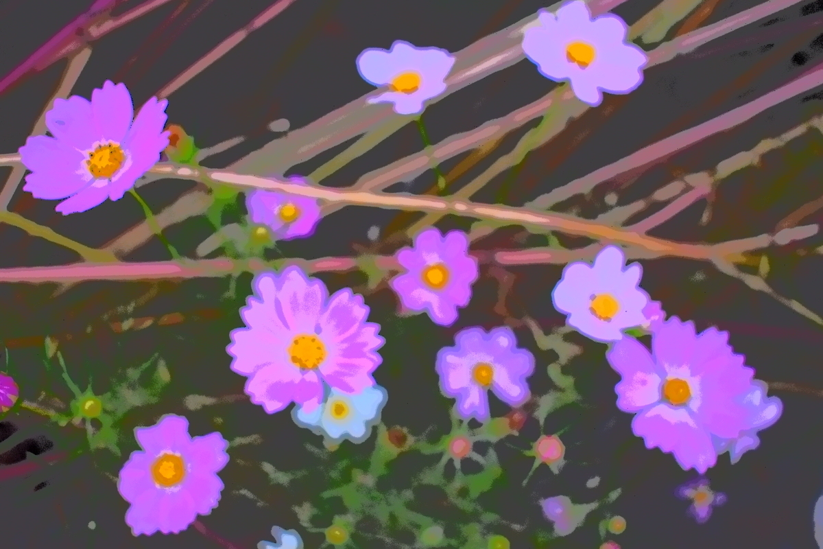 f:id:boc3096:20190928182232j:plain f:id:boc3096:20190928182232j:plain