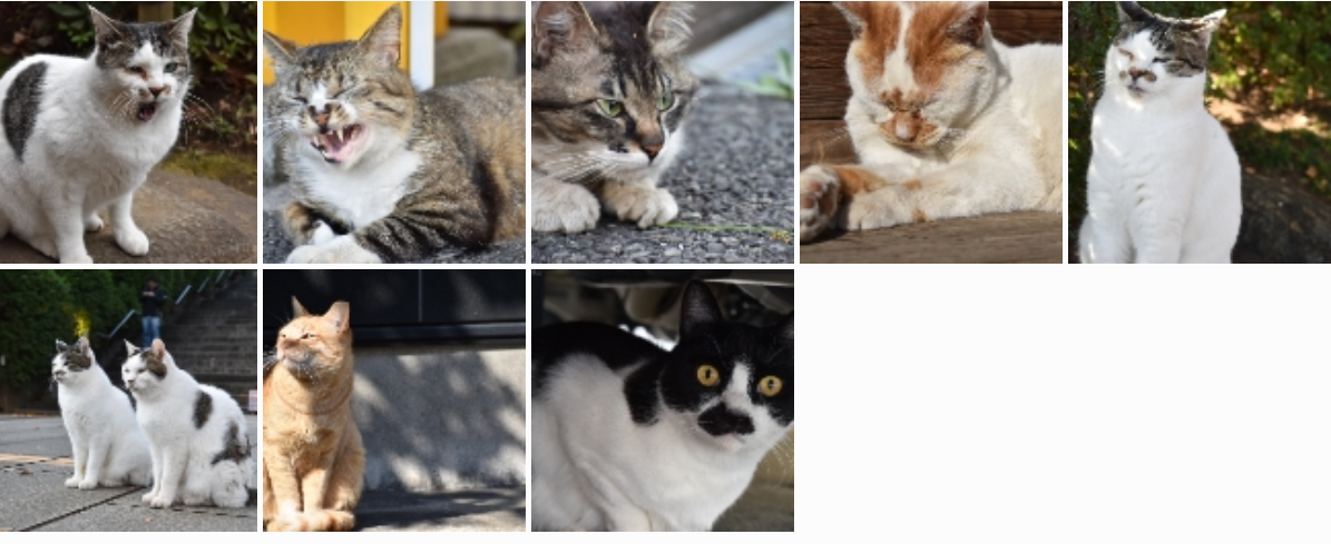 f:id:boc3096:20191011220819p:plain
