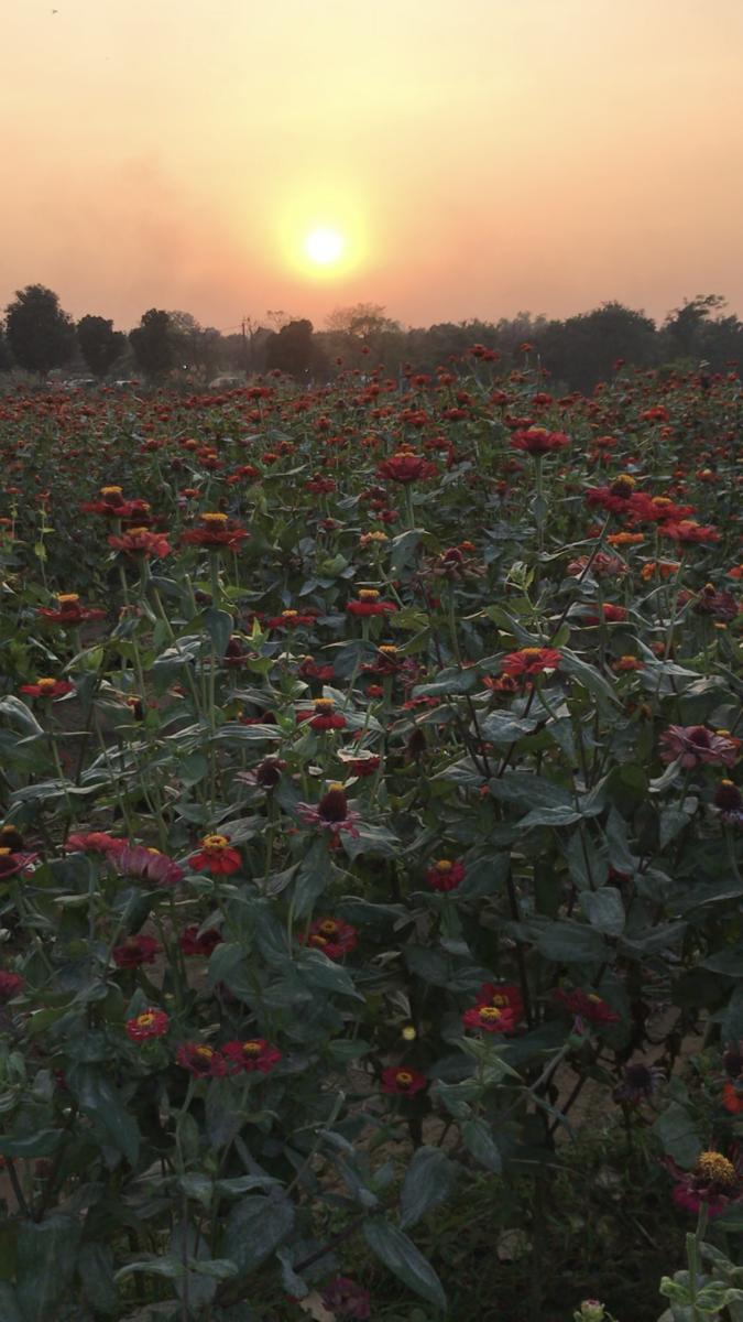 f:id:boc_gnu:20210212170411p:plain