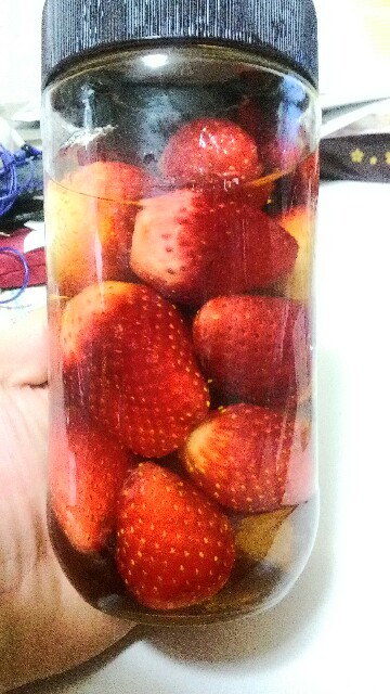 f:id:bocat32:20170325184518j:image