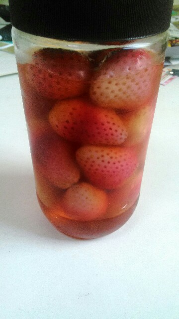 f:id:bocat32:20170325191001j:image