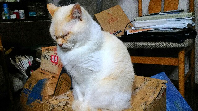 f:id:bocat32:20170402232305j:image