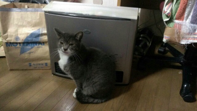 f:id:bocat32:20170402232633j:image