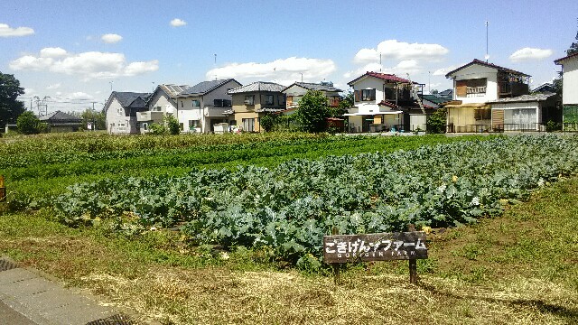 f:id:bocat32:20170610122557j:image