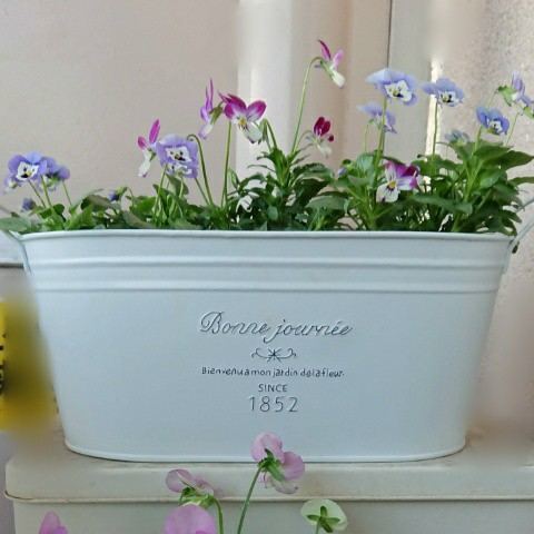 f:id:boccadileone:20200916125519j:plain