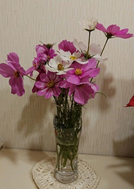 f:id:boccadileone:20200916160832j:plain