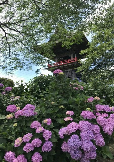 f:id:boccadileone:20201014102645j:plain