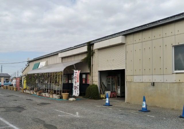 f:id:boccadileone:20201116172047j:plain