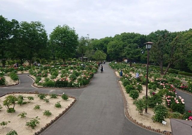 f:id:boccadileone:20210429164801j:plain