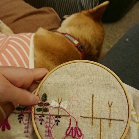 f:id:boccadileone:20210723184048j:plain