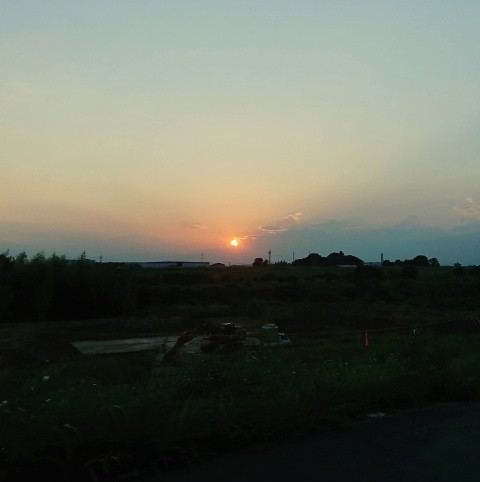 f:id:boccadileone:20210903161610j:plain