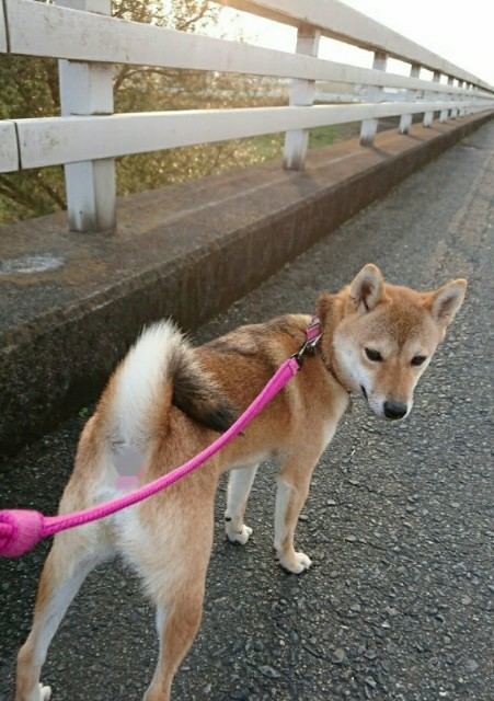 f:id:boccadileone:20211112164019j:plain