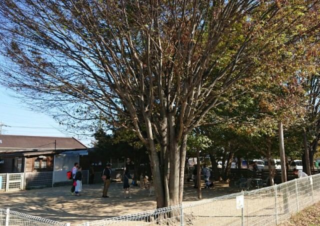 f:id:boccadileone:20211119215556j:plain