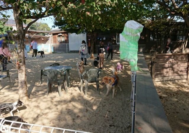 f:id:boccadileone:20211119215829j:plain