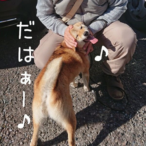 f:id:boccadileone:20220126015333j:plain