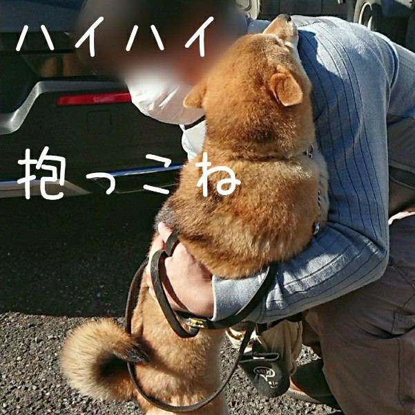 f:id:boccadileone:20220127020623j:plain