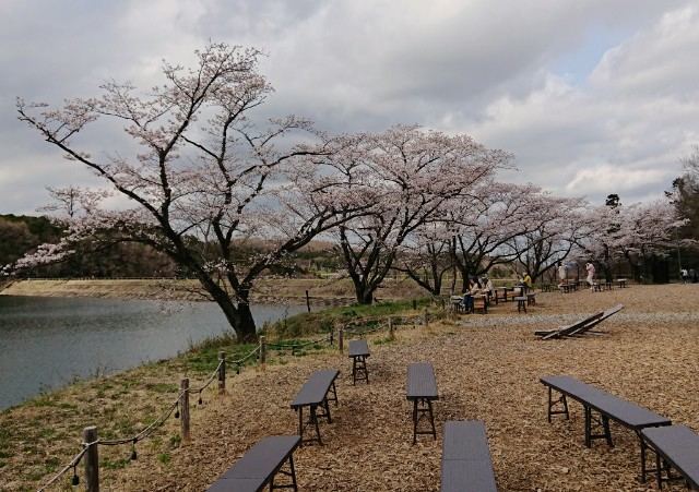 f:id:boccadileone:20220401124930j:plain