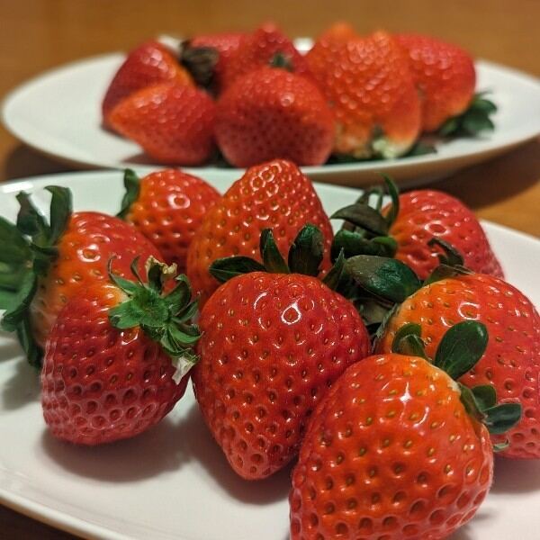 あまりん直売所｢いちご園ななちゃん｣最新情報2024 埼玉いちご直売所