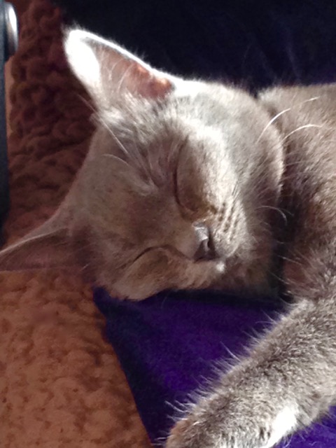 f:id:bochibochidou:20160901205730j:plain