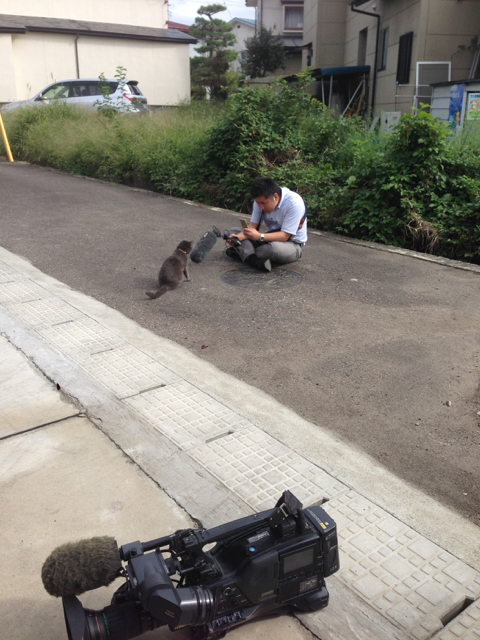 f:id:bochibochidou:20160921194724j:plain