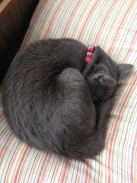 f:id:bochibochidou:20160923210301j:plain