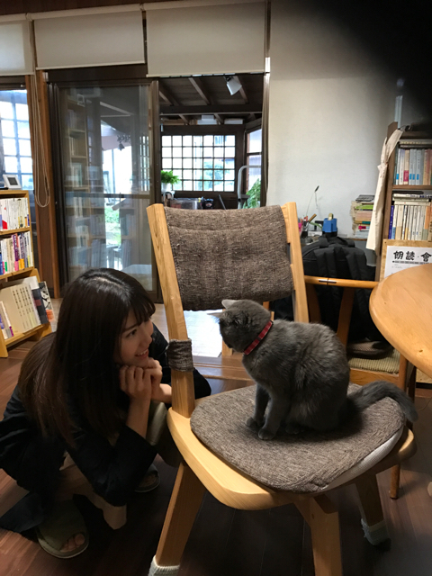 f:id:bochibochidou:20161012201923j:plain f:id:bochibochidou:20161012201923j:plain