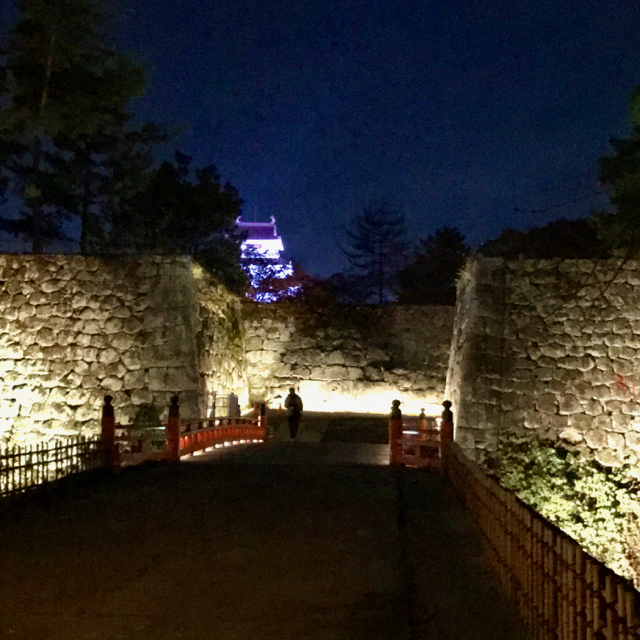 f:id:bochibochidou:20161114222643j:plain