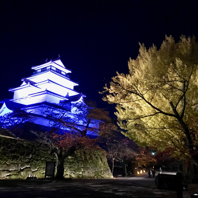f:id:bochibochidou:20161114222647j:plain