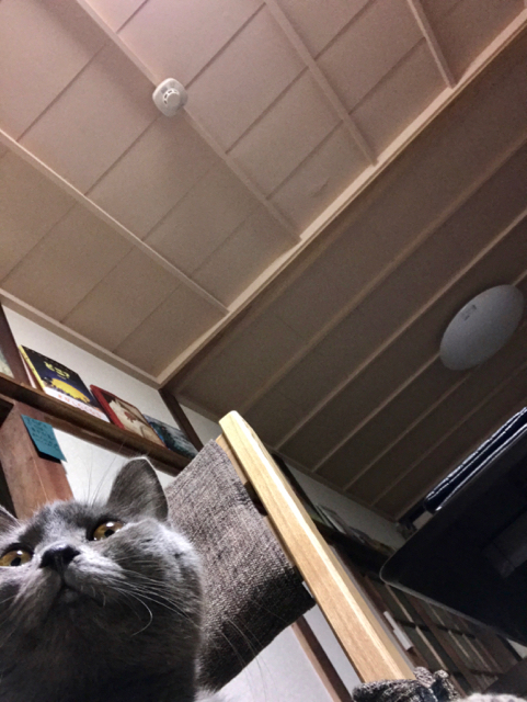f:id:bochibochidou:20161224202526j:plain