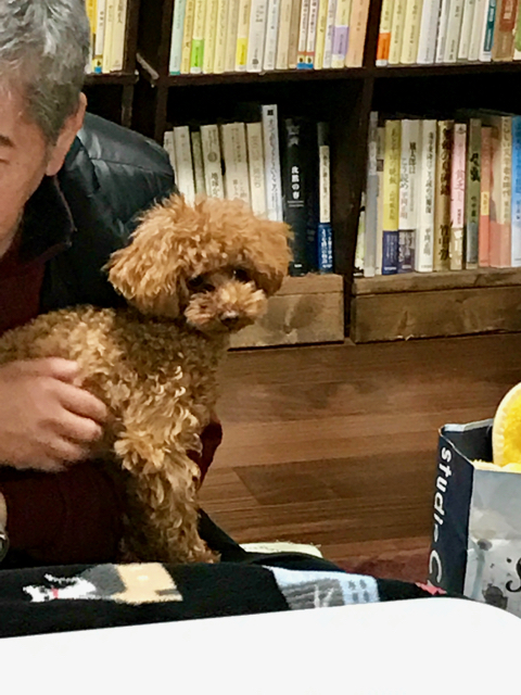 f:id:bochibochidou:20170104202617j:plain