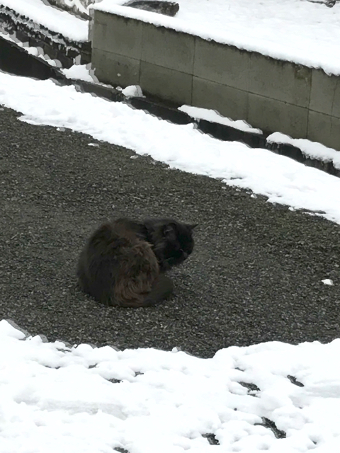 f:id:bochibochidou:20170106200809j:plain