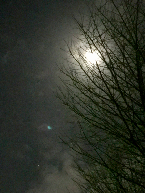 f:id:bochibochidou:20170110200559j:plain f:id:bochibochidou:20170110200559j:plain