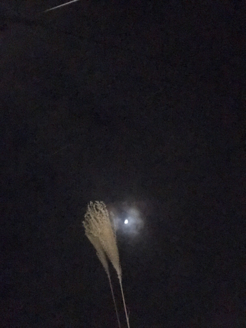 f:id:bochibochidou:20170110200607j:plain f:id:bochibochidou:20170110200607j:plain