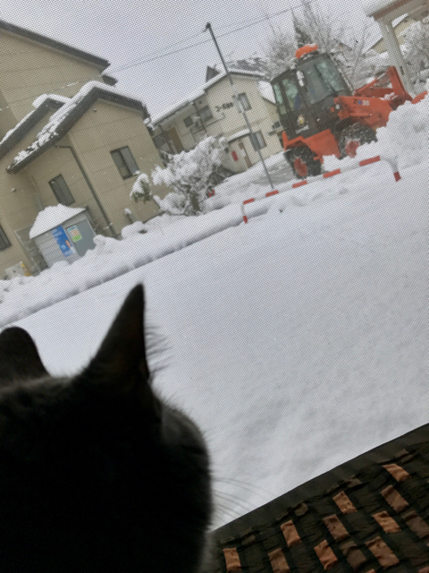 f:id:bochibochidou:20170112200138j:plain