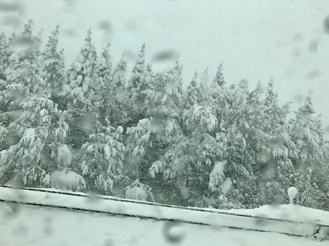 f:id:bochibochidou:20170116220929j:plain f:id:bochibochidou:20170116220929j:plain