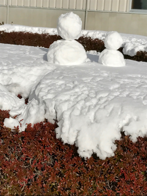 f:id:bochibochidou:20170116221117j:plain f:id:bochibochidou:20170116221117j:plain