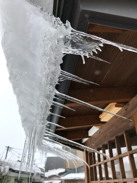 f:id:bochibochidou:20170125194113j:plain f:id:bochibochidou:20170125194113j:plain