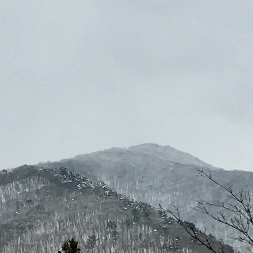 f:id:bochibochidou:20170329204226j:plain f:id:bochibochidou:20170329204226j:plain