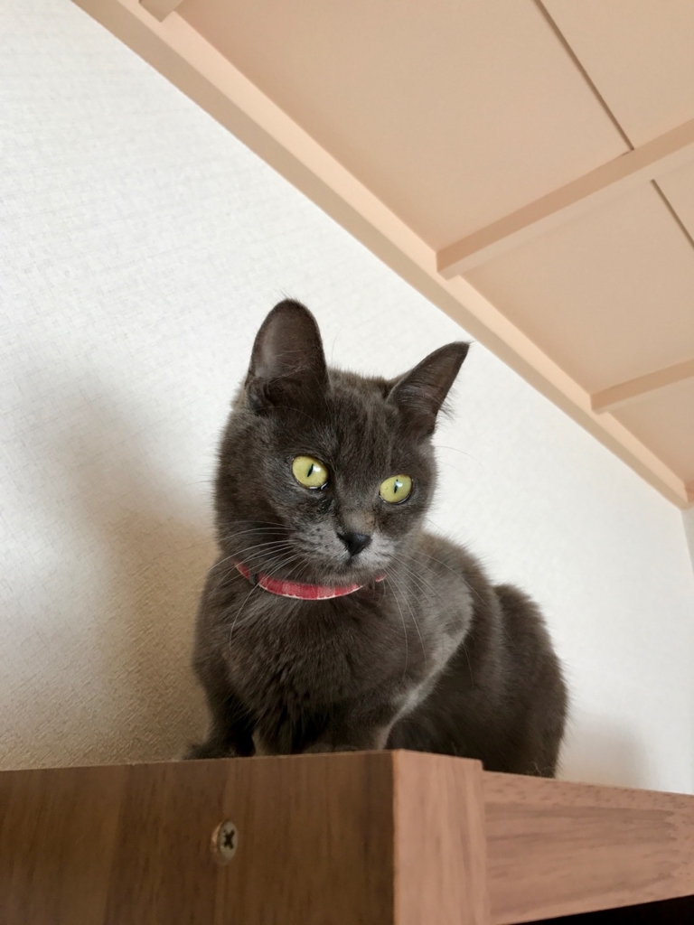 f:id:bochibochidou:20170407200331j:plain