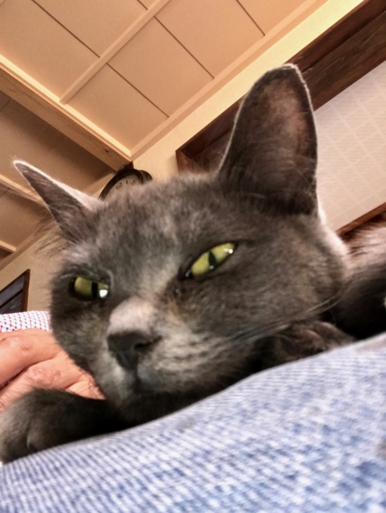 f:id:bochibochidou:20170615203407j:plain f:id:bochibochidou:20170615203407j:plain