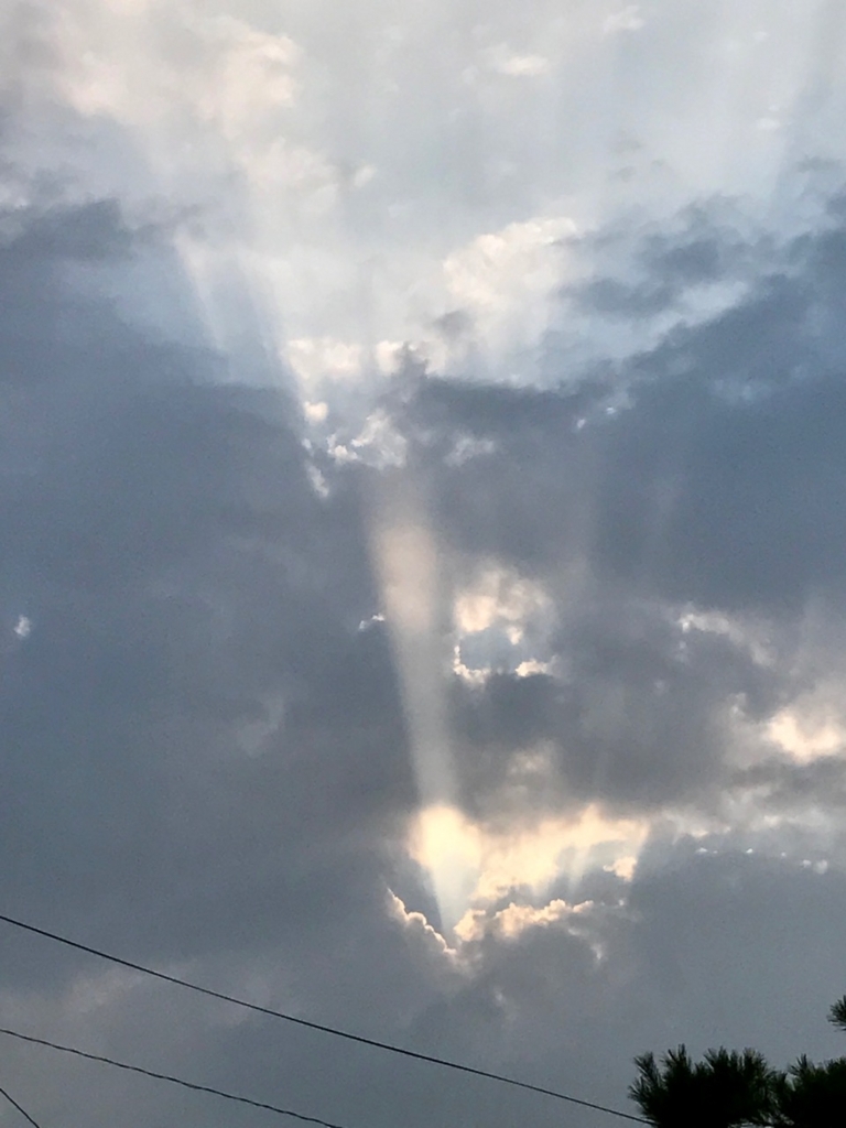 f:id:bochibochidou:20170715203714j:plain f:id:bochibochidou:20170715203714j:plain
