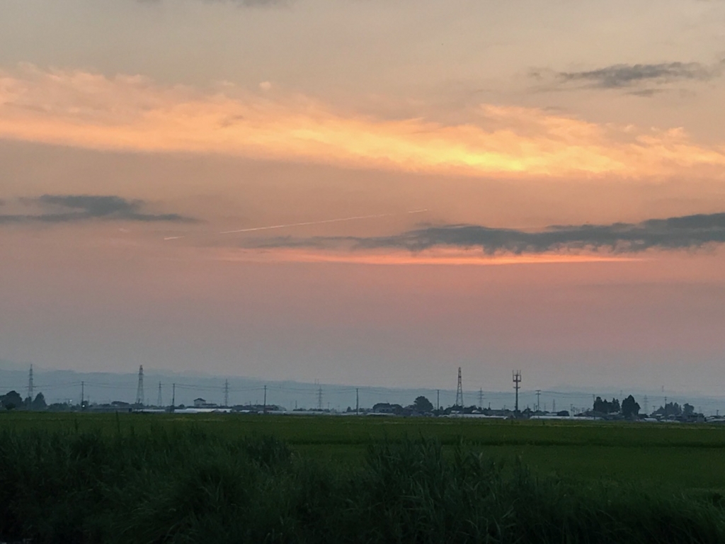 f:id:bochibochidou:20170721202931j:plain f:id:bochibochidou:20170721202931j:plain