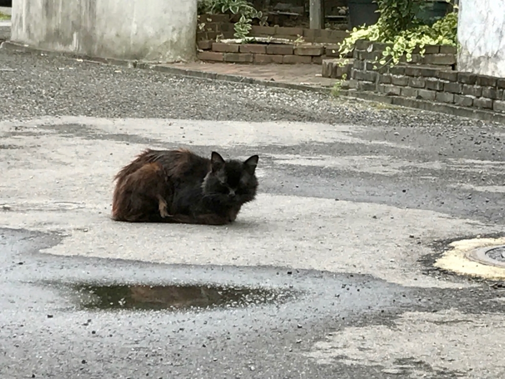 f:id:bochibochidou:20170902200715j:plain f:id:bochibochidou:20170902200715j:plain