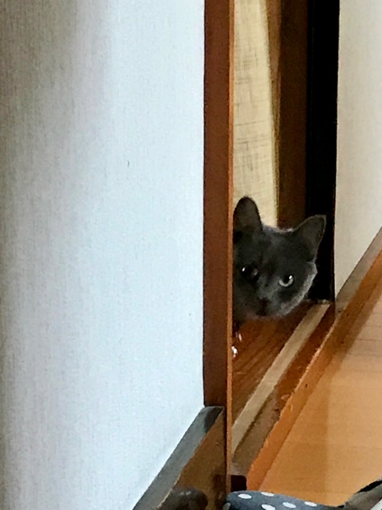 f:id:bochibochidou:20170908200907j:plain