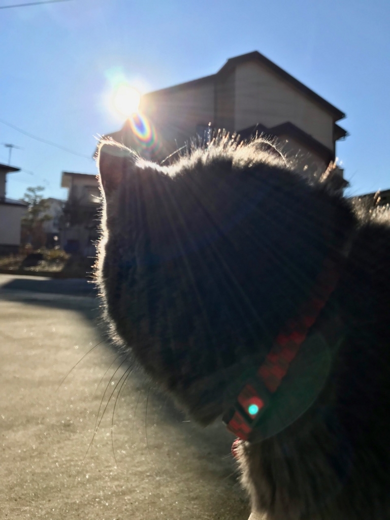 f:id:bochibochidou:20171207202513j:plain f:id:bochibochidou:20171207202513j:plain